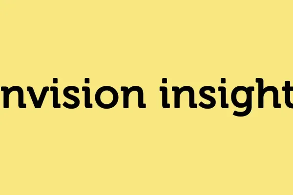 Envision Insights