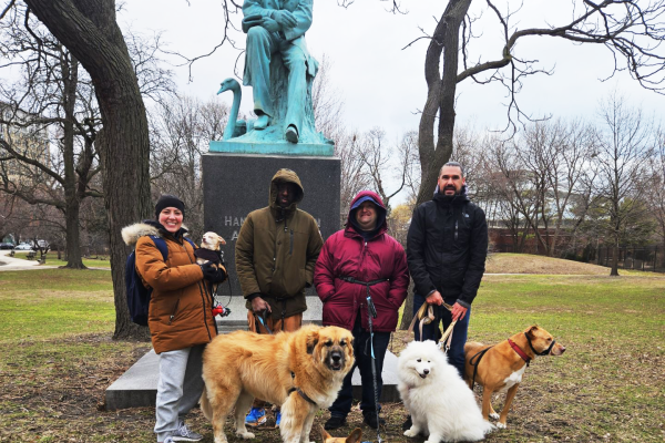 A group of individuals is out for a walk in the community with dogs from a local rescue shelter
