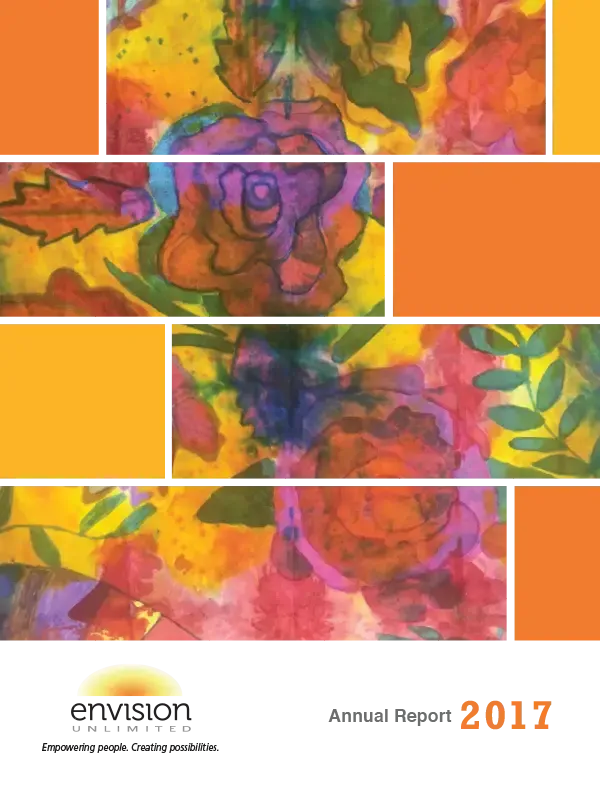 Cover image for the 2017 Annual Report