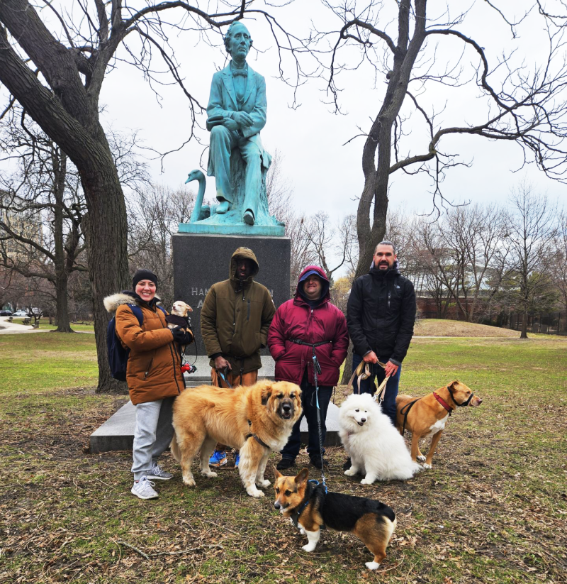 A group of individuals is out for a walk in the community with dogs from a local rescue shelter